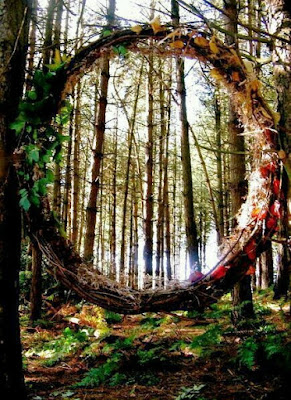 Intuito e Sguardi interiori